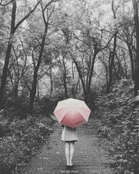 Rear view of woman holding umbrella