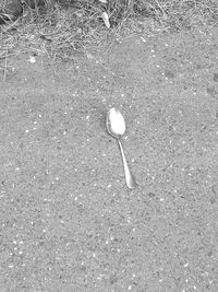 High angle view of grass on sand