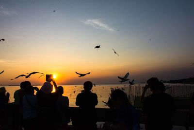 Silhouette people by birds flying over sea against sky during sunset