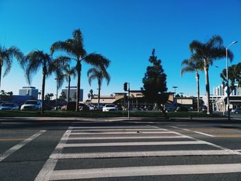 Cars on street against clear blue sky