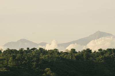 Far away view on mount rinjani in lombok, indonesia.