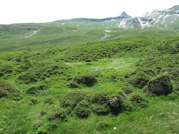 Scenic view of green landscape against sky