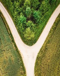 High angle view of agricultural field