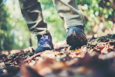 Low section of man walking in forest during autumn