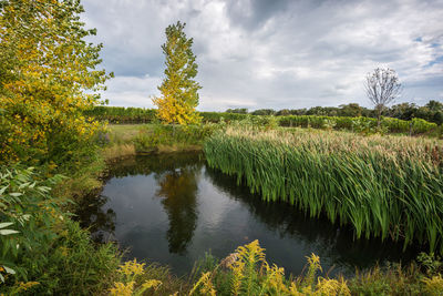 Scenic view of lake against sky