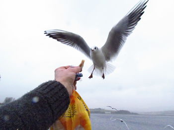 Close-up of hand holding bird flying against sky