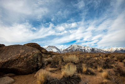 Desert sand and plants in the buttermilks rock formations sierra nevada mountains california