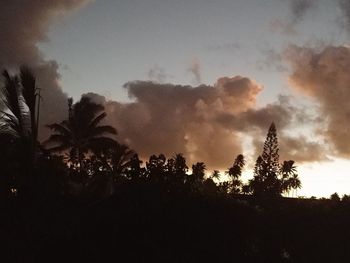 Low angle view of silhouette trees against sky