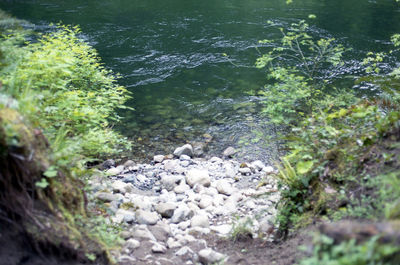 Stream flowing through rocks
