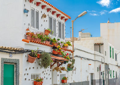 Narrow streets adorned with flowers on balconies and very large flower pots in ojos de garza canary 