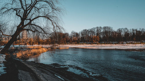 Scenic view of lake against clear sky during winter