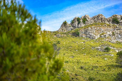 Scenic view of land against sky