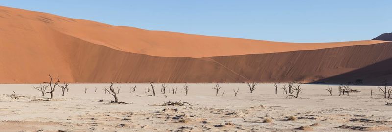 Scenic view of desert against clear sky