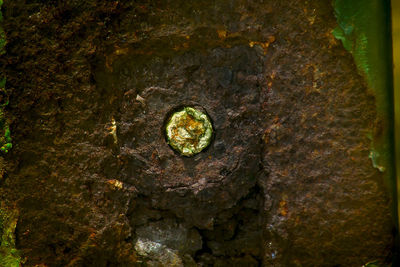 Close-up of a rock