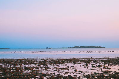 Scenic view of sea against clear sky