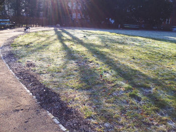 Shadow of people on footpath