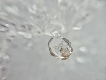 Close-up of ice crystals against blurred background