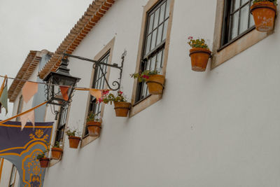 Low angle view of potted plant on wall of building