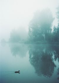 Silhouette trees by lake against sky