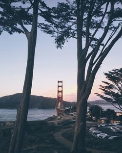 Trees by sea against sky in city