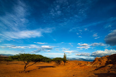 Scenic view of desert landscape against sky