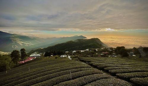 Scenic view of agricultural field against sky during sunset