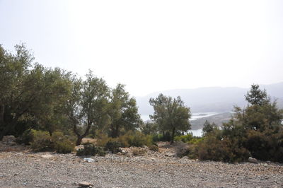 Scenic view of landscape against clear sky