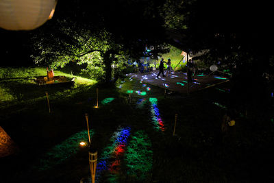 Illuminated trees at night