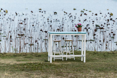 Table by the lotus pond