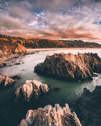 Otter point state park at the oregon coast, united states.