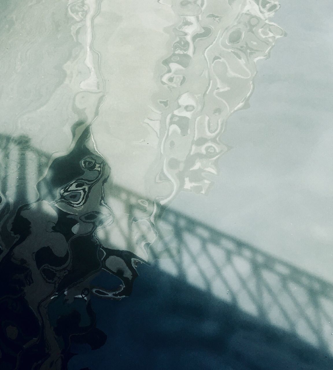 HIGH ANGLE VIEW OF DRINKING WATER ON SEA SHORE