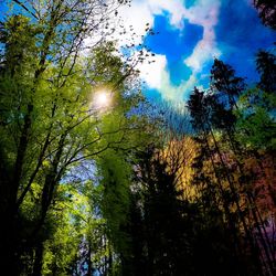Low angle view of trees against sky