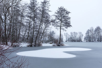Bare trees on snow covered field against sky