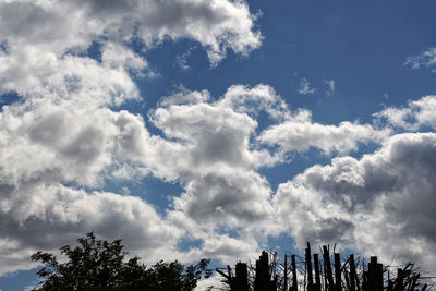 Low angle view of silhouette trees against blue sky