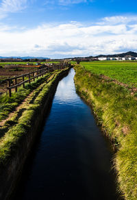 Scenic view of river amidst field against sky