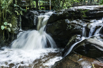 Scenic view of waterfall in forest