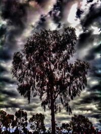 Low angle view of trees against cloudy sky