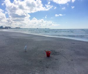 View of seagulls on beach