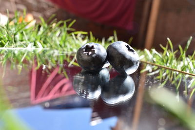 Close-up of fruits on table