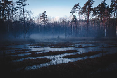 Scenic view of snow covered land against sky