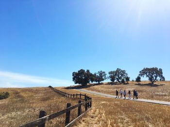 Scenic view of field against clear blue sky