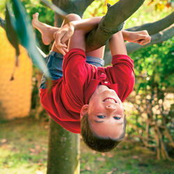 Boy hanging from tree