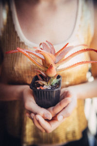 Close-up of woman holding agave plant