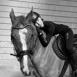 Low section of person riding horse