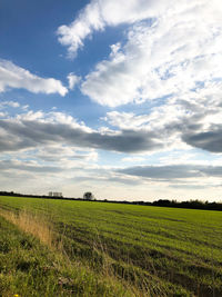 Scenic view of agricultural field against sky