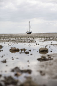 Sailboat on sea shore against sky