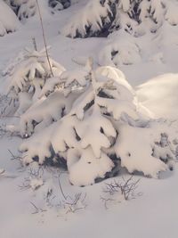 Full frame shot of snow