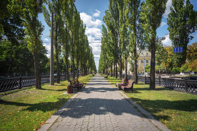 Footpath amidst trees against sky