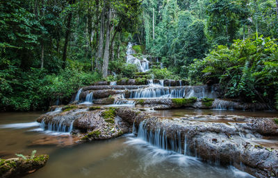 Scenic view of waterfall in forest