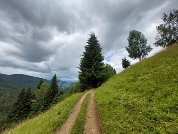 Panoramic view of field against sky